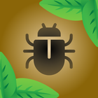 Bug Smasher icon