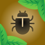 Bug Smasher أيقونة