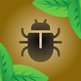 Bug Smasher (Esmague insetos)