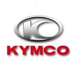 Icona KYMCO光陽行動版通路系統