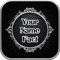 Your Name Facts