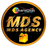 MDS Agency
