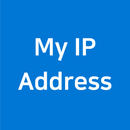 我的 IP 地址 APK