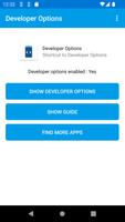 Developer Options পোস্টার