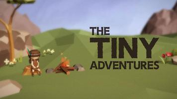 The Tiny Adventures Affiche