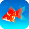 Goldfish 3D - Relaxing Aquarium Fish Tank