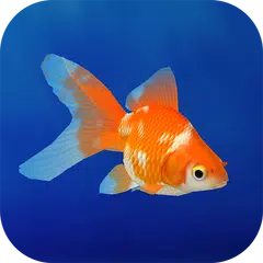 Goldfish 3D Relaxing Aquarium APK Herunterladen