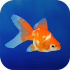 Icona Goldfish