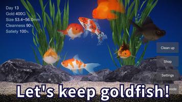 Goldfish Affiche