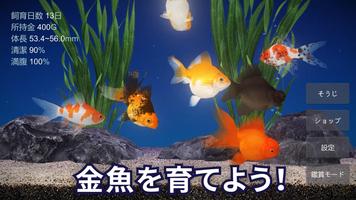 金魚育成アプリ・ポケット金魚 ポスター