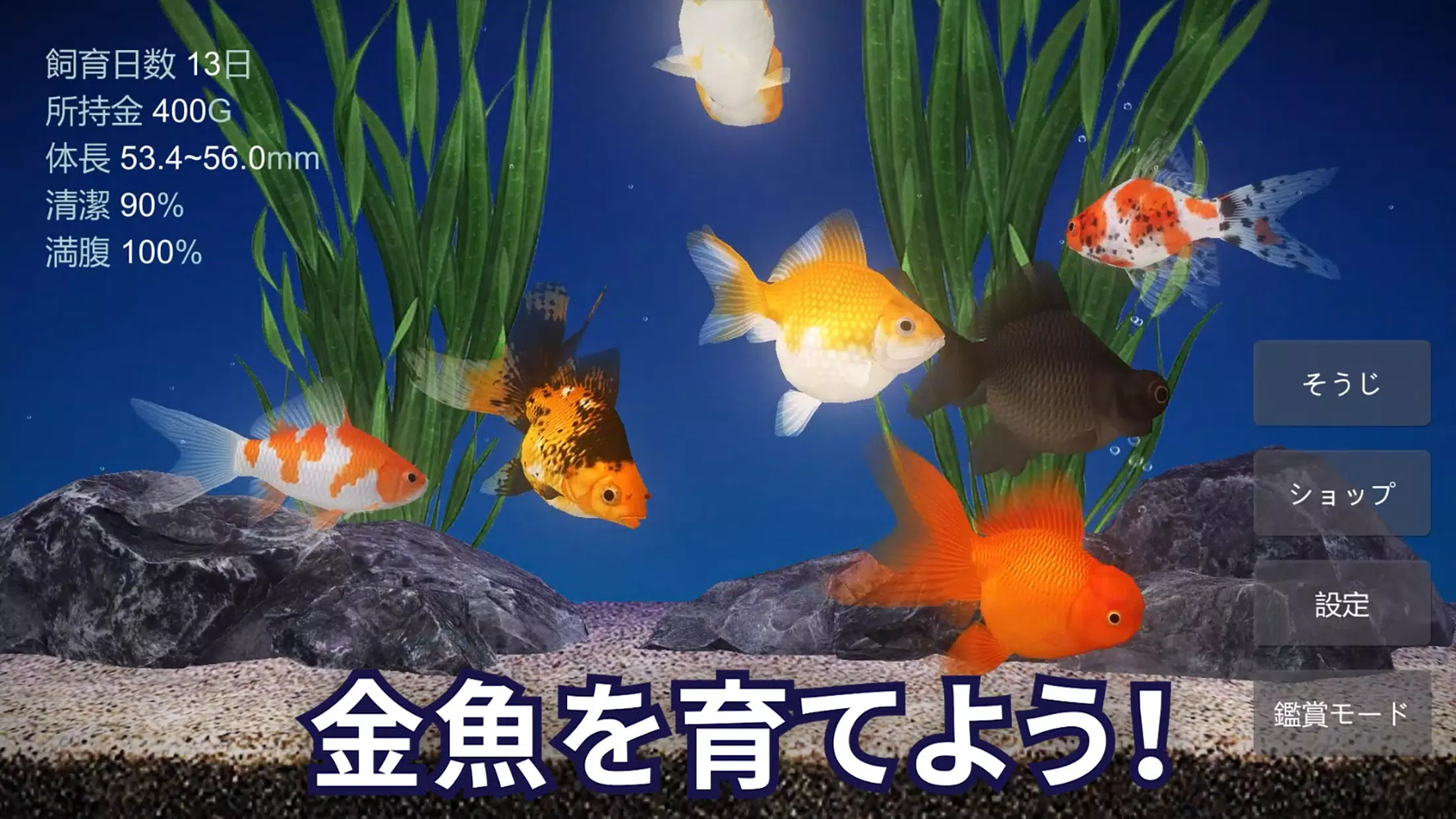 Android向けの金魚育成アプリ ポケット金魚 Apkをダウンロードしましょう