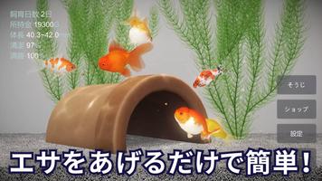 金魚育成アプリ・ポケット金魚 スクリーンショット 1