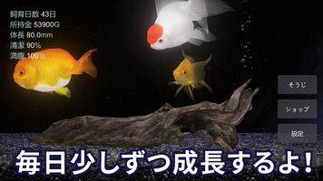 金魚育成アプリ・ポケット金魚 スクリーンショット 2