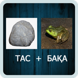 2 сурет 1 сөз. Қазақша