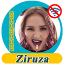 Ziruza - әндер жинағы APK