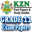 Grade 11 KZN Past Papers icono