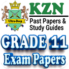Grade 11 KZN Past Papers icône
