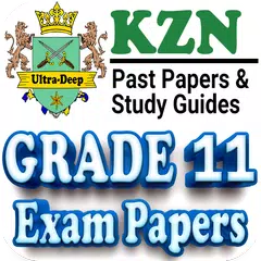 Grade 11 KZN Past Papers