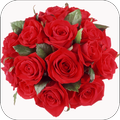 ”Flowers and Roses Stickers WAStickerApps