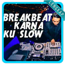 Offline DJ Remix Karna Ku Selow Terbaru 2019 APK