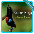 Pikat Suara Burung Kolibri Wulung Gacor Mp3 2019 APK