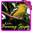 Koleksi Suara Burung Sirtu Pikat Offline Mp3 2019