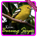 APK Koleksi Suara Burung Sirtu Pikat Offline Mp3 2019