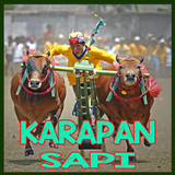 Video Karapan Sapi Madura アイコン