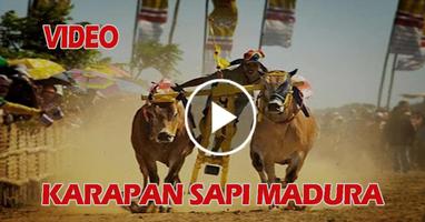 3 Schermata Video Karapan Sapi Madura