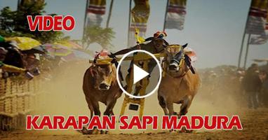 Video Karapan Sapi Madura پوسٹر