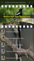 Master Kicau Kacer Ngeplong Gacor Kasar capture d'écran 1
