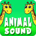 Animal Sounds