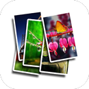 Free Wallpaper APK