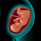 Astha Pregnancy APK