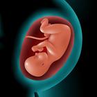 Astha Pregnancy ikona