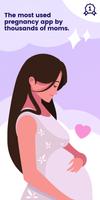 Pregnancy Week by Week 海报