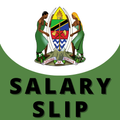 ”Salary Slip