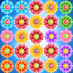 Flower Pop