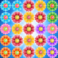 Flower Pop