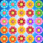 Flower Pop আইকন