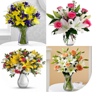 APK 5000+ Flower Arrangements NEW