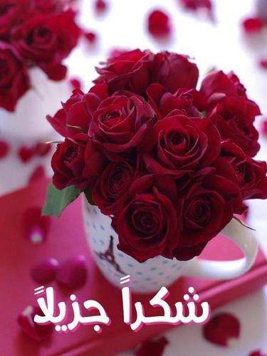 كلمات شكر وتقدير For Android Apk Download