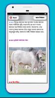 খামারি গরু ছাগল টার্কি পালন Screenshot 1