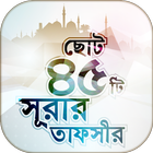 ছোট ৪৫ টি সূরার তাফসীর icône