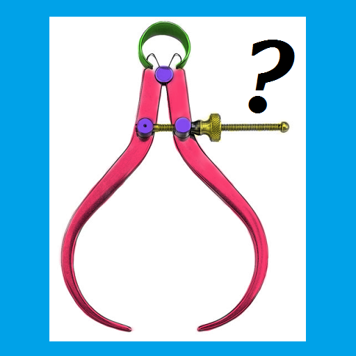 I.T.I Fitter Image Guess