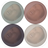 YajuDra / BeastDragon Puzzle