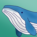 Whale Follow APK