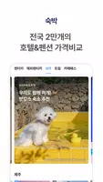 제주패스 ảnh chụp màn hình 4