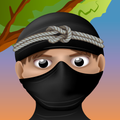 Knot Ninja