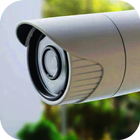 Arlo Security Camera Setting icône